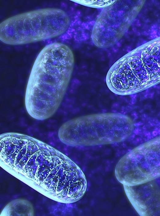 Kang Lab: CHCHD10 in cytoplasmic TDP-43 accumulation